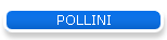 POLLINI